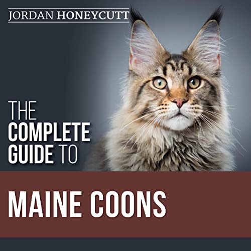The Complete Guide to Maine Coons Finding, Preparing for, Feeding