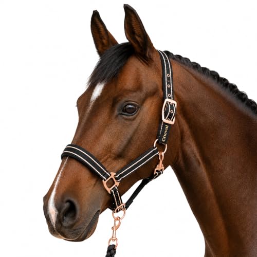 Halfter für Pferde mit Glitzer in Rosegold Halfter Pferd in schwarz und pink 2-Fach verstellbar (Schwarz Rosegold Pony)