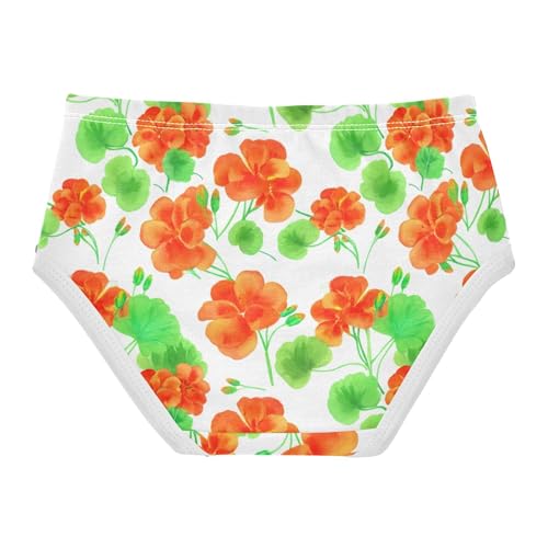 Girls Underwear Toddlers 2t Cotton Panties Little Girl Artistic Briefs Undies Kids Geranium Flowers Green Pink2