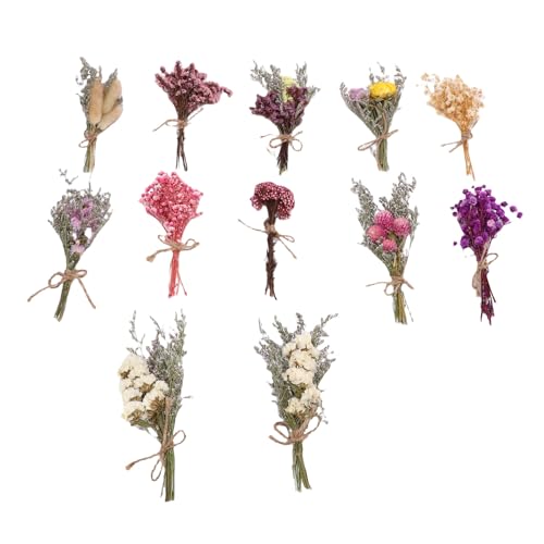 Set de 12 ramos de flores secas decorativas hechas a mano miniatura 5