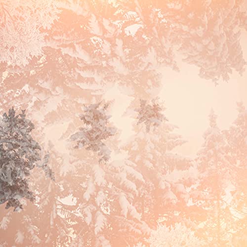 Boulanger Trio & Asya Fateyeva