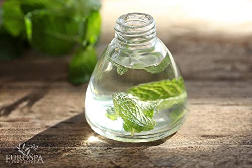 Eurospa Aromatics Pure Eucalyptus Oil Showermist And Steam Room Spray, All-Natural Premium Aromatherapy Essential Oils - Mint Infused, 2Oz, 2 Pack #TOP3