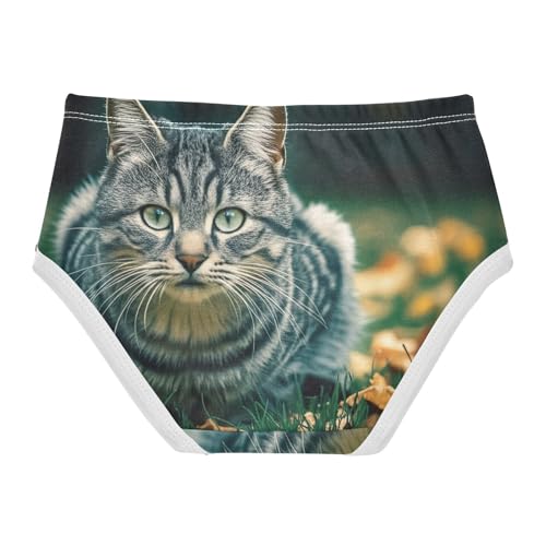 Aesthetic Toddler Girls Underwear 2t Cotton Panties Little Girl Grey Cat Autumn Grass Briefs Girls Undies2