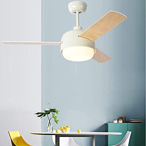 Plafonnier LED ventilateur de plafond télécommande dimmable 3 vitesses - 7