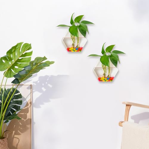 Station de propagation de la plante en verre de qualité supérieure pour mur - 3
