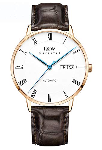 TEINTOP IW Men's Analogue Automatic Self-Winding Watch Mechanical with Leather Band(Gold Brown)
