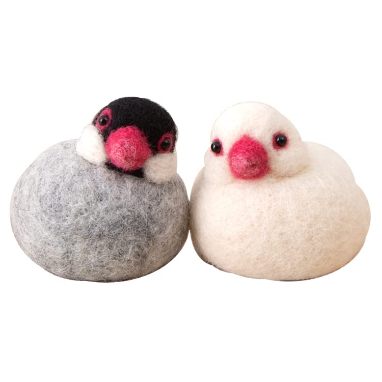 Amazon.co.jp: スターターセット付き 桜文鳥 と 白文鳥 手作りキット