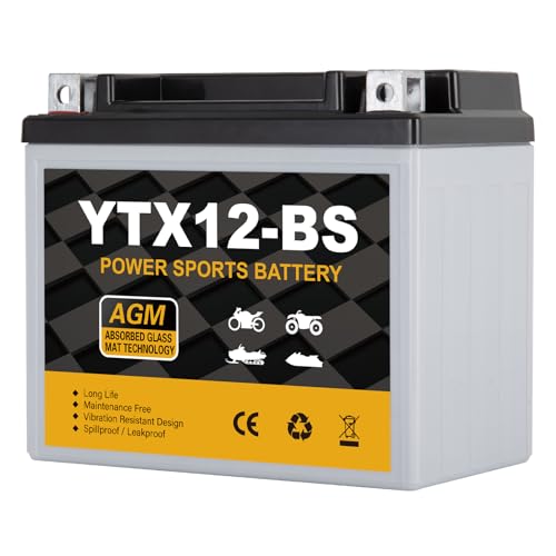 Daakmax YTX12-BS Motorcycle Battery 12V 10Ah, 180 CCA Sealed AGM Rechargeable Maintenance Free Battery, Replacement for ATV, Scooter, 4 Wheeler, ETX12, GTX12-BS