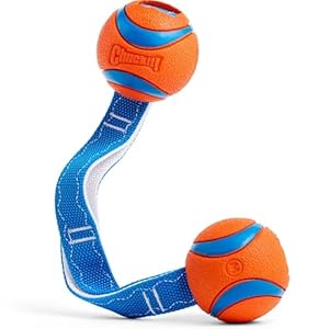 Chuckit! Ultra Duo Tug Dog Toy – Two Ultra Balls on a Durable Nylon Cord Handle – Fetch and Tug-of-War Toy for Dogs – Size Medium – For Breeds 20-60 lbs – 2.5-inch Diameter – Orange and Blue