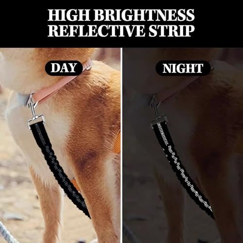 Generisch Ruckdämpfer Hund 45cm, Hundeleine Nylon mit Tiger Zahn Metallclip, Reflektierend Leinenverlängerung für zum Joggen, Radfahren, Spazierengehen