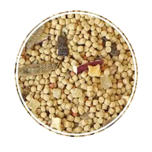 Club Silvestre Mix 5kg