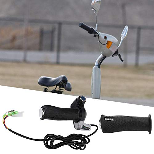 Alomejor 1000 W Regolatore di velocità Spazzolato