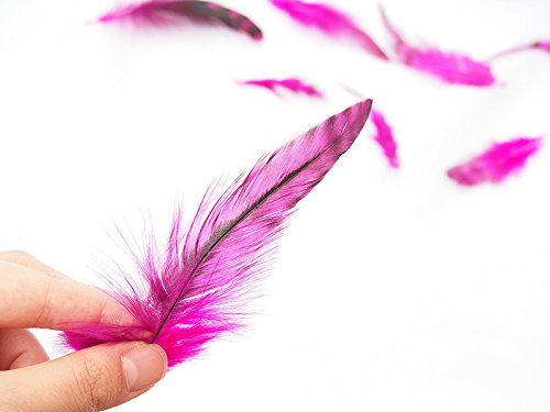 フライマテリアルセット（羽毛・ウール） Amazon | スペイコック・グリズリー [027-Fe-G-07］ホット