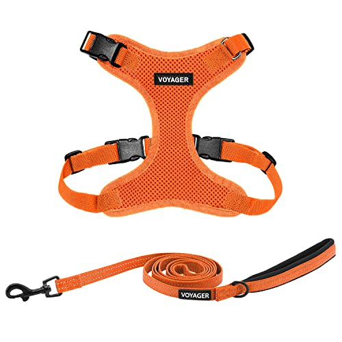Image of Best Pet Supplies Voyager Step-in Lock Pet Harness w Reflective Pet Leash Combo Set with Neoprene Handle 5ft - Supports Small, Medium and Large Breed Puppies /Cats - Orange Set, XL