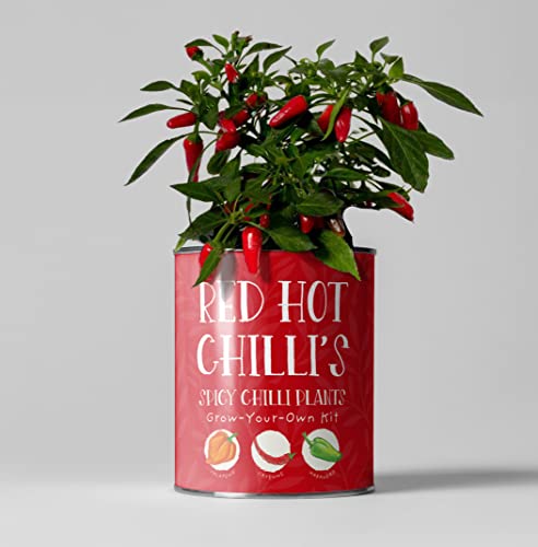 Chilli Plant Luxury Grow Kit, The Plant Gift Co. Red Hot Chillis, Men Gardening Gift; Habanero, Cayenne and Jalapeno.