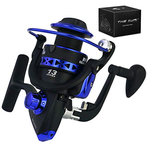 Thekuai Spinning Reels Light Weight Ultra Smooth Powerful Spinning Fishing Reels - 10+1 Stainless BB for Saltwater or Freshwater - Super Value! (3000, B-HK)