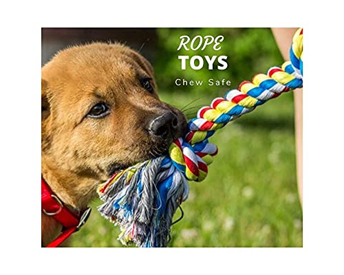 Image of Cotton Chew Dog Rope Toy, 10.5 Inch Large - Multicolor