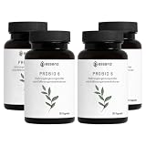 ESSENZ Probio 6 – Kulturen Komplex Kapseln mit Inulin – 4 x 30 Kapseln