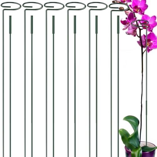 Zacool 6 Pack Plant Stacks Tall, Two Sizes(16 or 30 Inch) Plant Support Stakes for Indoor or Outdoor,Garden Plant Stakes for Flowers Amaryllis Tomato Lily Peony Rose Flower Narcissus