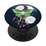 Photo Gallery falena e funghi farfalla vintage botanical biology popsockets popgrip intercambiabile Photo Gallery falena e funghi farfalla vintage botanical biology popsockets popgrip intercambiabile