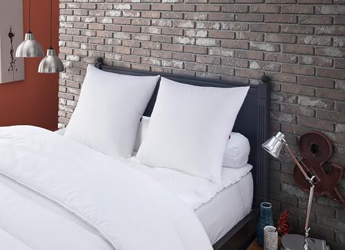 DODO | Kopfkissen gegen Milben und Bettwanzen, 60 x 60 cm, mittlerer Komfort, Kissen Multi Protect, Weichheit und Schutz, maschinenwaschbar bei 40 °C