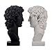 Lukitas David Head Decorative Bookends, Heavy Duty Half-and-Half Book Ends Non-Slip, Classical Artistic Sculpture for Office Home Bookshelf Decor, Black & White, Resin 9.5''