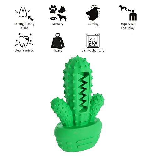 Dingo Hundespielzeug aus Hart Gummi TPR Kaktus 15 cm 17310