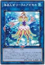 Amazon.co.jp: 海晶乙女