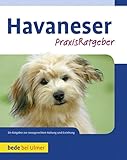 Havaneser