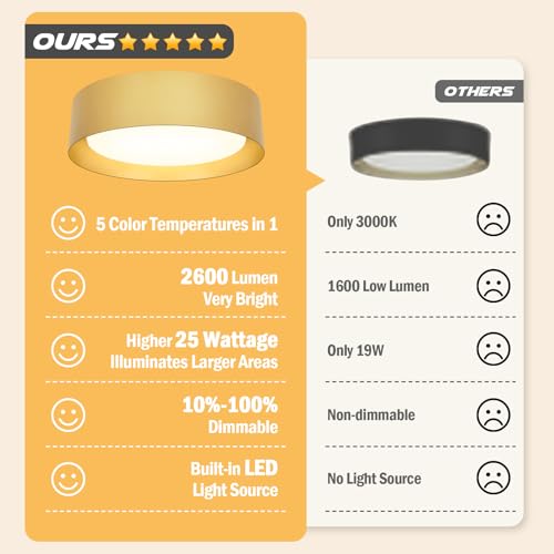 Image of Flush Mount Ceiling Light, 16in Modern Ceiling Light 5 Color Temperature