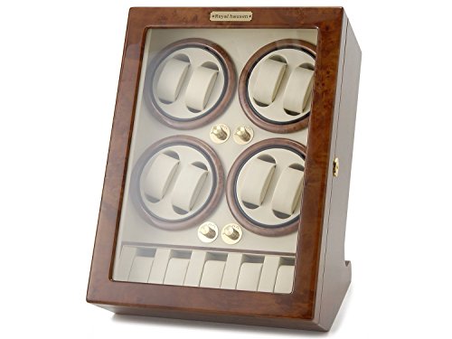 [Tuh]SUNBRAND C_[ CfBO}V[ 8{ v[(5{[) GC03-Q88