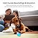 Cheerble Interaktives Hundespielzeug Ball, Wicked Ball Hund, Selbstbewegendes Hundespielzeug Beweglich mit 3 Interaktiven Modi, Selbstrollender Ball Hunde Interaktiver mit LED-Leuchten, Blau