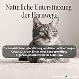 Urologist Aid 250 mg - Blasenformel bei Blasenentzündung & Blasengries für Katzen, kleine Hunde, Meerschweinchen & Kaninchen - pflanzliches Nahrungsergänzungsmittel für Blase & Harnwege - Sensipharm