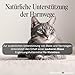 Urologist Aid 250 mg - Blasenformel bei Blasenentzündung & Blasengries für Katzen, kleine Hunde, Meerschweinchen & Kaninchen - pflanzliches Nahrungsergänzungsmittel für Blase & Harnwege - Sensipharm