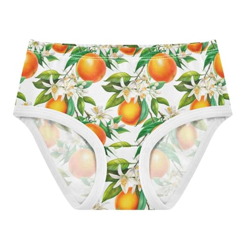 Joisal Artistic Toddlers Underwear Floral 2t Cotton Little Girl Panties Oranges White Flowers Briefs Girls Undies