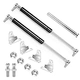 2 Stück Gasdruckfeder 300mm 110mm 100N, Universal Gasdruckdämpfer mit Kompressionsfeder Beschläge für Wohnwagen, Bausatz-Autos, Schranktür Kleiderschrank, Bodentüren