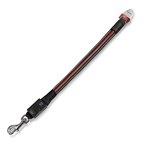flexi Ceinture LED Flash pour Chiens Taille L Noir/Rouge