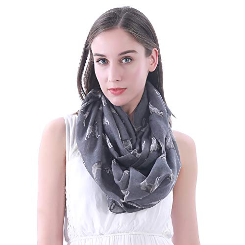 Siberian Husky Dog Print Women's Infinity Scarf Lightweight - Main Image