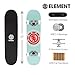 Element Popsicle Skateboard Mint 31