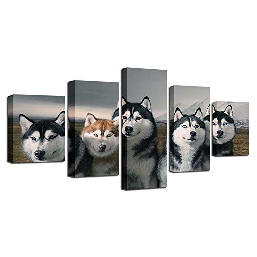 Tableau Husky mignon en 5 pièces pour réveiller la déco de votre salon
