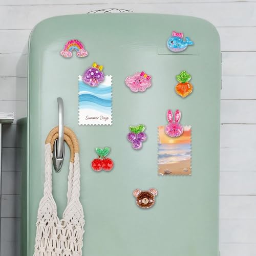 Imanes decorativos de animales y frutas 9 piezas miniatura 6