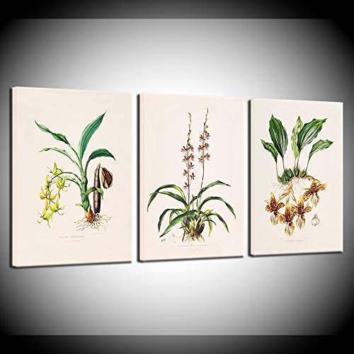 Impression sur toile fleurs et plantes poster mural nordique moderne pour salon
