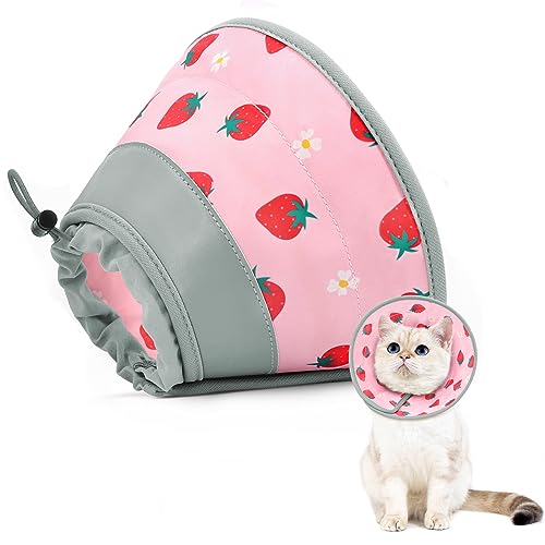 Cones for Cats The 15 best products compared Wild Explained
