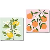 cupmod 2 Pack Framed Paint by Numbers Kit for Kids,Easy Acrylic Paint by Numbers Kits on Canvas,Fruit Oil Painting Paint by Number for Adults Beginners for Home Wall Decor (8x8inch)