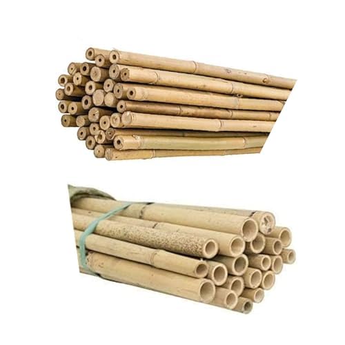 Peyca Pack 6 tutores bambú Natural 180cm + 6 tutores bambú Natural 120cm para Plantas y huertos