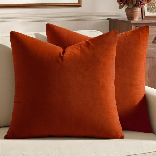 Image of MIULEE Velvet Throw Pillow Covers 20x20 Inch, Pack of 2 - Burnt Orange, Super Soft Decorative Square Cushion Cases Modern Luxury Home Decor for Couch, Bed, Bedroom Livingroom
