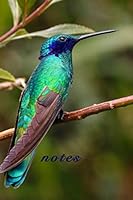 Notes 1706650310 Book Cover