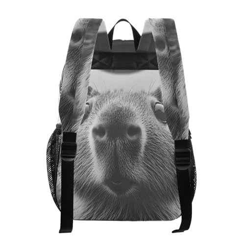 Capybara Surprise Funny Clear Backpack, PVC Transparent Bag with Large Capacity for Boys, Girls, Men, Women, See Through Bookbag for School Work College Travel3