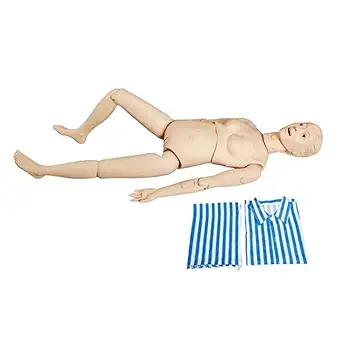 LABGO Nursing Manikin Anatomical Human Model Education A19