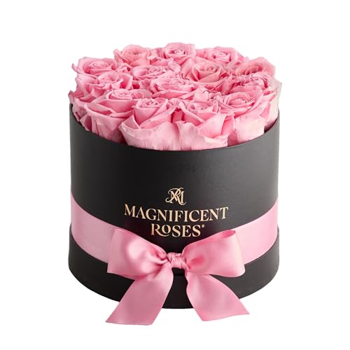 1800 Flowers - Magnificent Roses® Classic Pink | One Dozen Preserved Roses for Delivery | Ideal for Summer Gatherings, Summer Decor, Centerpieces, Gifting & Parties